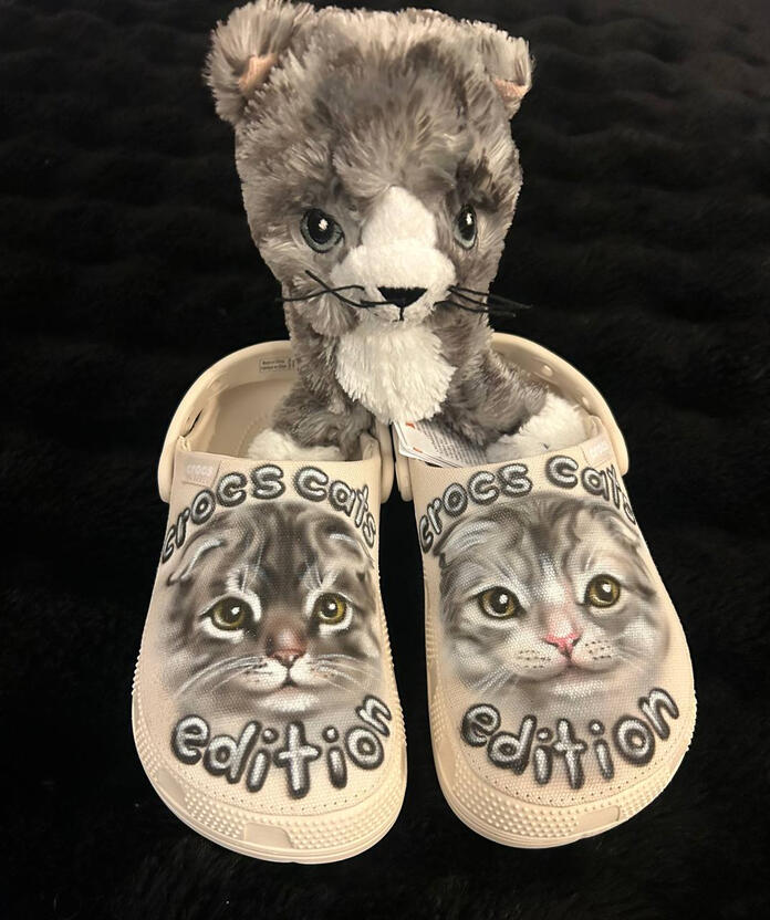 |The Feline Edition Slides 🐱| Price: $450 Size: 24" x 36" Availability: Unavailable REQUEST